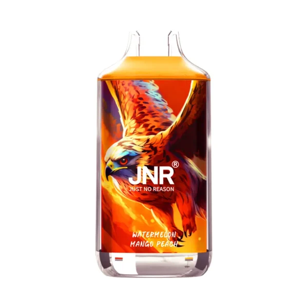 JNR Falcon 16000 Puffs - Image 2