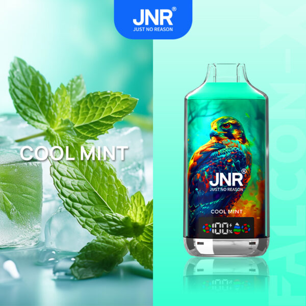 JNR Flacon X 18000 Puffs Vape Disposable - Image 5